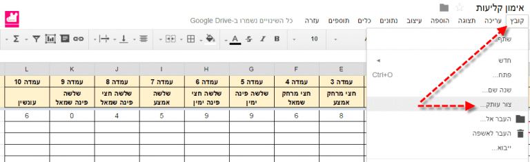 אימון 100 הקליעות